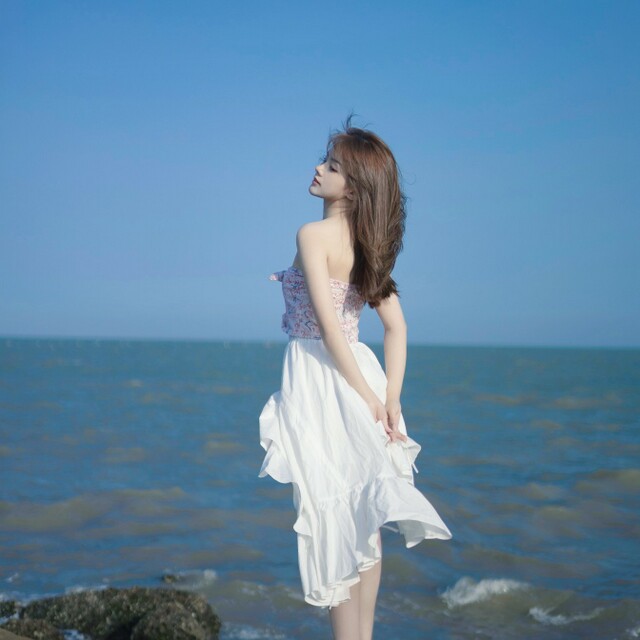 石家庄狡黠狐狸 字母圈魅力无限_狡黠的狐狸迷人的魅力