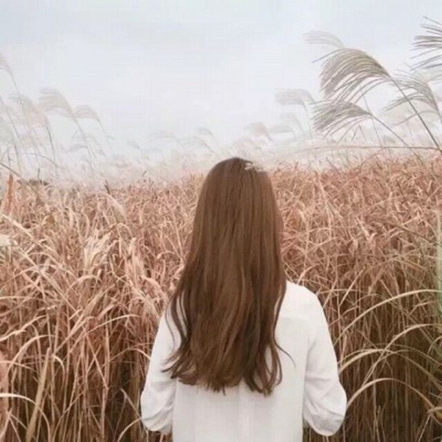 石家庄探索BPy奥秘 解锁三维创作新天地