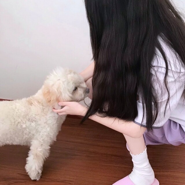 石家庄男友过节不用心 我该怎么开口
